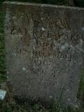 image of grave number 196130